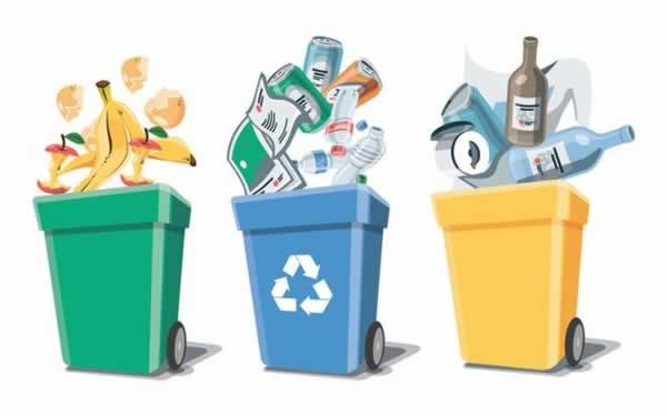 The importance of waste management in your home