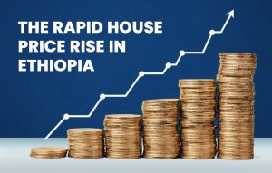 illustration showing the case of Rapid House Price rising